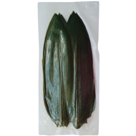 Bambusa lapas, svaigas, 7-9cm, 100gab.
