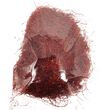 Chilli pepper, shredded, 100g